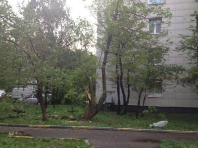 Евгений Тишковец - Москвичей предупредили о штормовом ветре вечером пятницы - rosbalt.ru - Москва