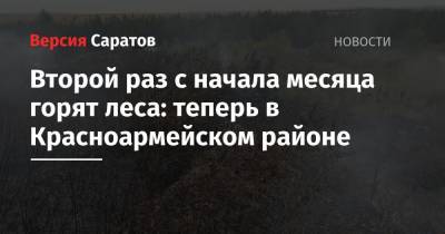 Второй раз с начала месяца горят леса: теперь в Красноармейском районе - nversia.ru - Вольск - Экология