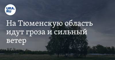 На Тюменскую область идут гроза и сильный ветер - ura.news - Тюменская обл.