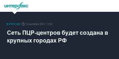 Михаил Мишустин - Сеть ПЦР-центров будет создана в крупных городах РФ - interfax.ru - Москва - Россия