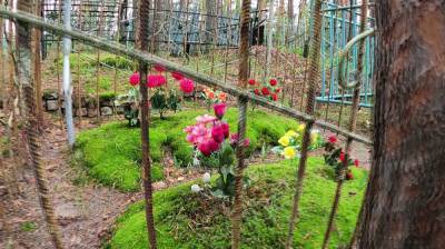 Смертность в Воронежской области превысила рождаемость почти в два раза - vestivrn.ru - Воронеж - Воронежская обл.