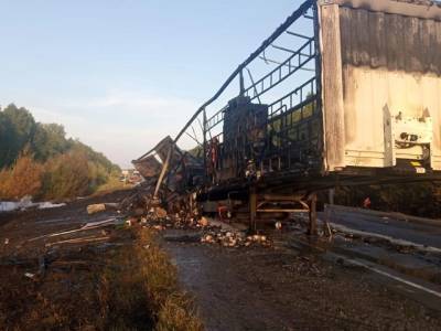 Южноуральский дальнобойщик сгорел в фуре после ДТП - u24.ru - Россия - Челябинск - Курганская обл. - Курган
