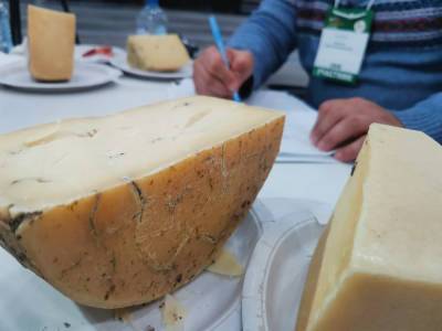 В Санкт-Петербурге прошла сырная выставка The Baltic Cheese Awards 2021 - ivbg.ru - Украина - Санкт-Петербург