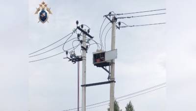 СК организовал проверку по факту смерти энергетика в Сергачском районе от удара электричеством - vgoroden.ru - Россия - Нижегородская обл. - Следственный Комитет