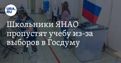 Школьники ЯНАО пропустят учебу из-за выборов в Госдуму - ura.news - Тюмень - окр. Янао
