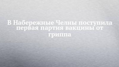 Владимир Жаворонков - В Набережные Челны поступила первая партия вакцины от гриппа - chelny-izvest.ru - респ. Татарстан - Набережные Челны