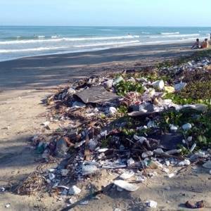 ООН: В океанах через 20 лет будет втрое больше пластика - reporter-ua.com - Шри Ланка