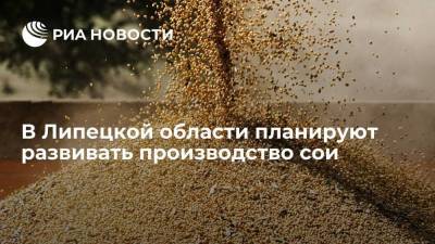 Игорь Артамонов - В Липецкой области планируют развивать производство сои - smartmoney.one - Липецкая обл.