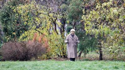 Владимир Путин - Татьяна Голикова - Почти 12,5 миллиона пенсионеров получат 10 тысяч рублей с 3 сентября - vm.ru - Россия