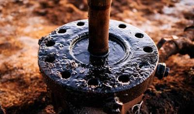 Александр Козлов - Минприроды оценивает залежи нефти в арктических морях РФ в 15,7 миллиарда тонн - mkset.ru - Россия