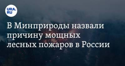 Александр Козлов - В Минприроды назвали причину мощных лесных пожаров в России - ura.news - Россия - респ. Саха