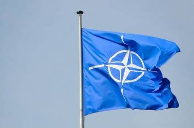 Официальный представитель НАТО Лунгеску призвала Россию и Белоруссию «действовать предсказуемо» в рамках учений - argumenti.ru - Россия - США - Белоруссия - Лунгеск