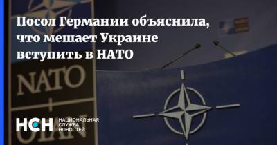 Анка Фельдгузен - Джен Псаки - Посол Германии объяснила, что мешает Украине вступить в НАТО - nsn.fm - США - Украина - Киев - Крым - Германия