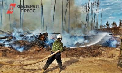 Горячие точки на экологической карте ПФО в августе: лесные пожары охватили семь регионов - fedpress.ru - Башкирия - респ. Марий Эл - республика Мордовия