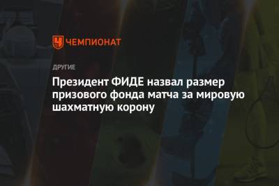 Аркадий Дворкович - Ян Непомнящий - Президент ФИДЕ назвал размер призового фонда матча за мировую шахматную корону - championat.com - Россия
