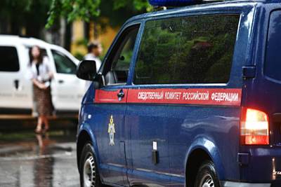 СКР возбудил дело об убийстве обвиняемого в педофилии россиянина - lenta.ru - Россия - Самарская обл.