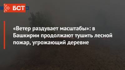 «Ветер раздувает масштабы»: в Башкирии продолжают тушить лесной пожар, угрожающий деревне - bash.news - Башкирия - район Баймакский
