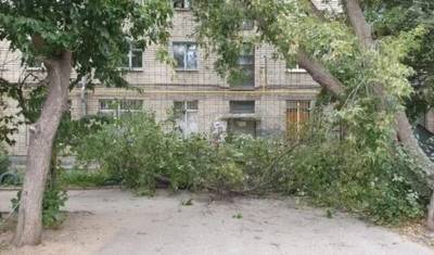Два человека пострадали от урагана в Екатеринбурге - newizv.ru - Екатеринбург - Свердловская обл.