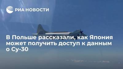 Defense 24: Япония во время тренировок с Индией получит доступ к данным о российском Су-30 - ria.ru - Москва - Токио - Япония - Индия - Нью-Дели