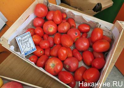 В России ускорилась недельная инфляция - nakanune.ru - Россия