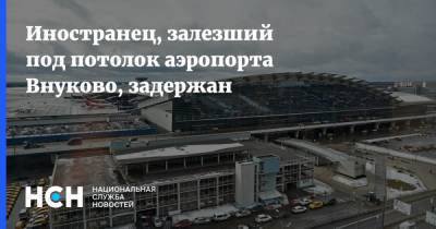 Иностранец, залезший под потолок аэропорта Внуково, задержан - nsn.fm - Москва - Куба