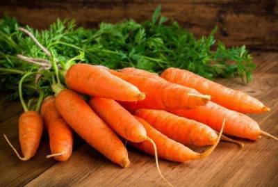 Какие сорта моркови можно посеять под зиму - skuke.net