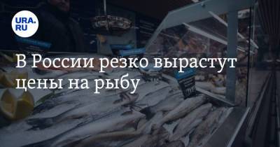 В России резко вырастут цены на рыбу - ura.news - Россия