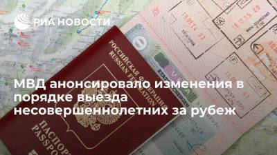 Валентина Казакова - МВД анонсировало изменения в законодательстве о порядке выезда несовершеннолетних за рубеж - ria.ru - Москва - Россия