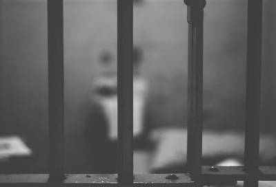 Угрожавших детям и прохожим злоумышленников заключили под стражу в Петербурге - online47.ru - Петербурга