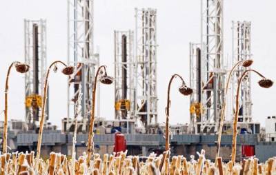 Фьючерсы на нефть WTI подешевели в ходе азиатских торгов - smartmoney.one - США - Reuters
