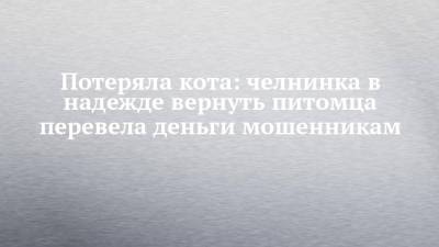 Потеряла кота: челнинка в надежде вернуть питомца перевела деньги мошенникам - chelny-izvest.ru - Россия - Набережные Челны - Вологодская обл.