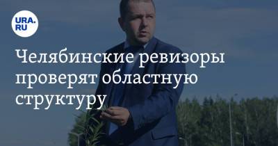 Челябинские ревизоры проверят областную структуру - ura.news - Челябинская обл.
