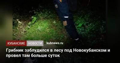 Грибник заблудился в лесу под Новокубанском и провел там больше суток - kubnews.ru - Краснодарский край - Новокубанск