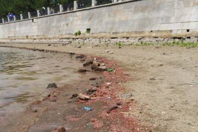 "Вода России". Волонтеры РМК очистили берег реки Исеть от 10 кубометров мусора - nakanune.ru - Россия - Екатеринбург - Свердловская обл.