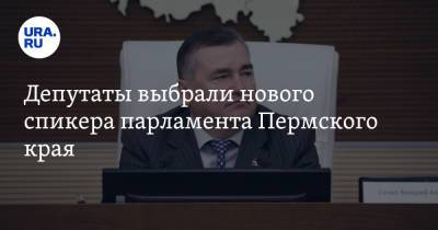 Депутаты выбрали нового спикера парламента Пермского края - ura.news - Пермский край