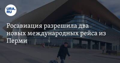 Росавиация разрешила два новых международных рейса из Перми - ura.news - Россия - Пермь - Эмираты - Босния и Герцеговина - Сараево