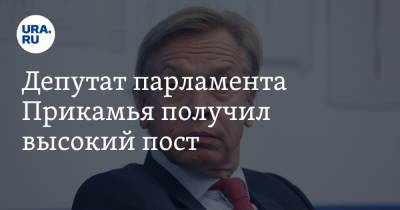 Алексей Пушков - Депутат парламента Прикамья получил высокий пост. Ему придется отказаться от мандата - ura.news - Россия - Пермский край