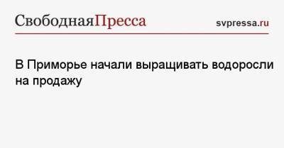 В Приморье начали выращивать водоросли на продажу - svpressa.ru - Южная Корея - Япония - Приморье край