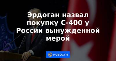 Эрдоган назвал покупку С-400 у России вынужденной мерой - news.mail.ru - Россия - США - New York - Турция - Анкара