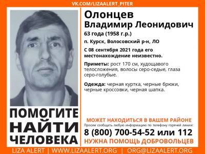 Элизабет Алерт - В Волосовском районе без вести пропал 63-летний мужчина - ivbg.ru - Украина - Ленобласть