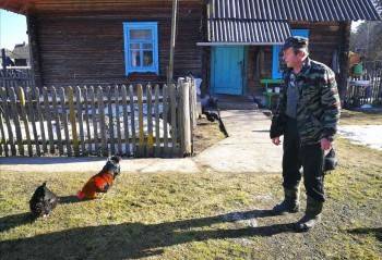 Пузово, Зелена Грива и Кобылкино: самые веселые названия вологодских деревень - vologda-poisk.ru - Россия - Вологодская обл.