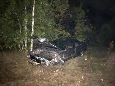 Под Липецком 19-летний водитель «Ауди» улетел с дороги. Пострадала пассажирка - lipetskmedia.ru - Орел - Тамбов - Липецкая обл.