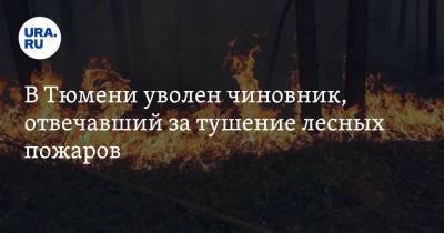В Тюмени уволен чиновник, отвечавший за тушение лесных пожаров - ura.news - Тюмень - Тюменская обл.