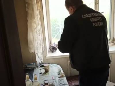 Опубликовано видео из квартиры девушек, ставших жертвами зверского убийства в Оренбуржье - rosbalt.ru - Башкирия - Гай