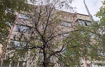 Гусеницы облепили дом в центре Лунинца и территорию вокруг - charter97.org - Белоруссия