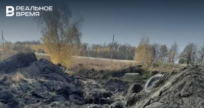 На месте свалки в Нижнекамском районе предложили создать горнолыжный курорт - realnoevremya.ru - респ. Татарстан - Нижнекамск