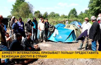 Amnesty International призывает Польшу предоставить беженцам доступ в страну - ont.by - Белоруссия - Польша