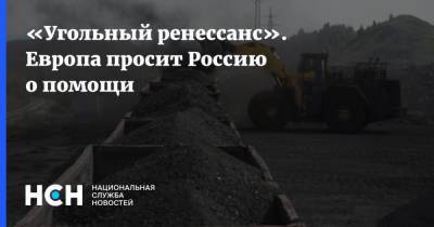 «Угольный ренессанс». Европа просит Россию о помощи - nsn.fm - Россия - Европа