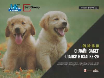 Неделя здоровья в виде Онлайн-забега «‎Лапки в охапке-2» в поддержку бездомных животных. - neva.today - Санкт-Петербург