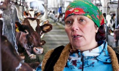 Владимир Лабинов - Работники совхозов в шоке от решения министра Лабинова оставить без молока ОМК и «Славмо» - gubdaily.ru - Вологодская обл. - республика Карелия